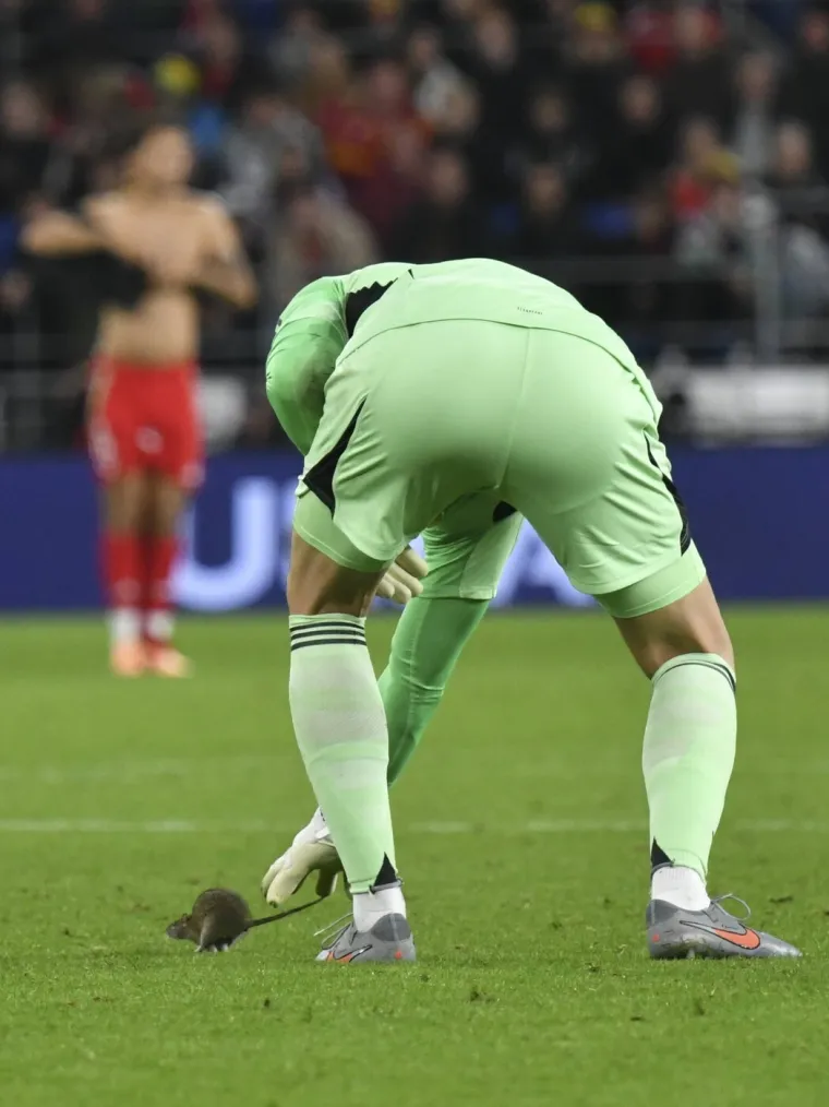 Nepozvani gost na utakmici Belgije i Walesa: Pogledajte kako je &scaron;takor nasamario Realovu zvijezdu