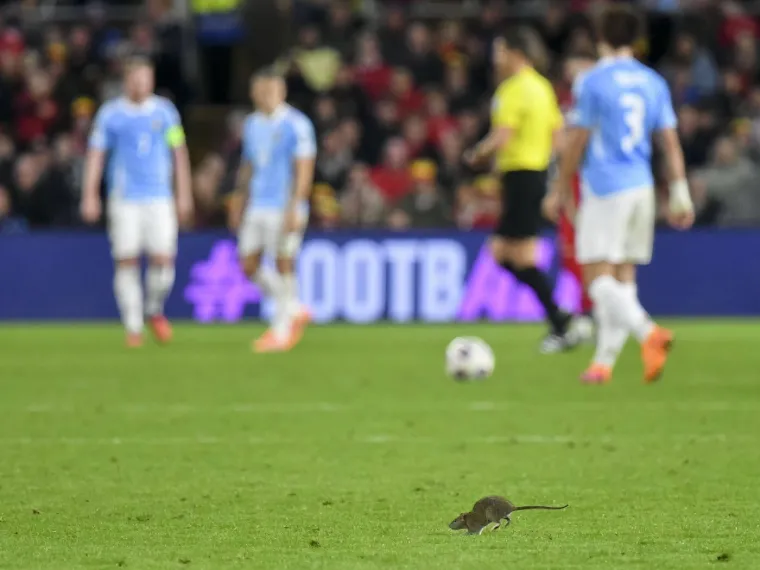 Nepozvani gost na utakmici Belgije i Walesa: Pogledajte kako je &scaron;takor nasamario Realovu zvijezdu