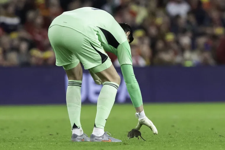 Nepozvani gost na utakmici Belgije i Walesa: Pogledajte kako je &scaron;takor nasamario Realovu zvijezdu