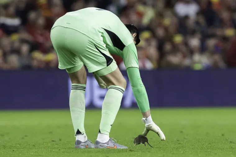 Nepozvani gost na utakmici Belgije i Walesa: Pogledajte kako je &scaron;takor nasamario Realovu zvijezdu