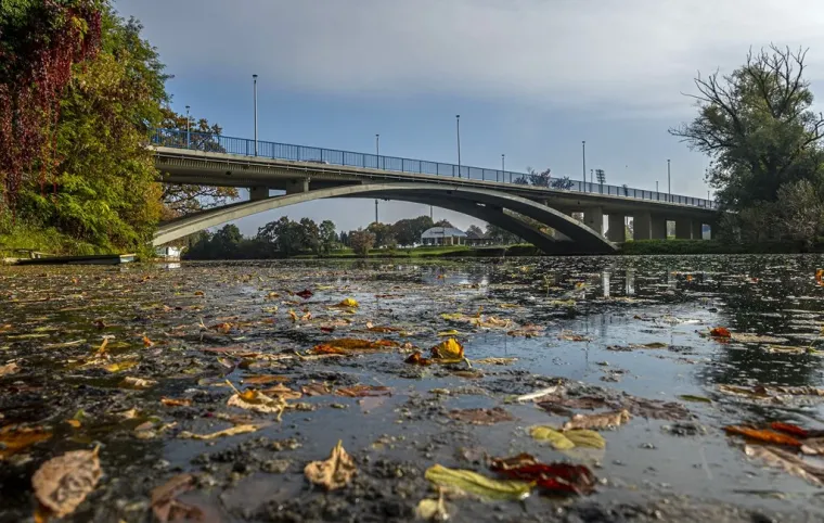 Atraktivne dame u susjednom gradu: Kratka haljinica i crveni sako nisu prošli nezapaženo