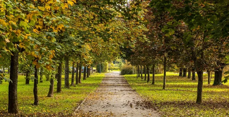 Atraktivne dame u susjednom gradu: Kratka haljinica i crveni sako nisu prošli nezapaženo