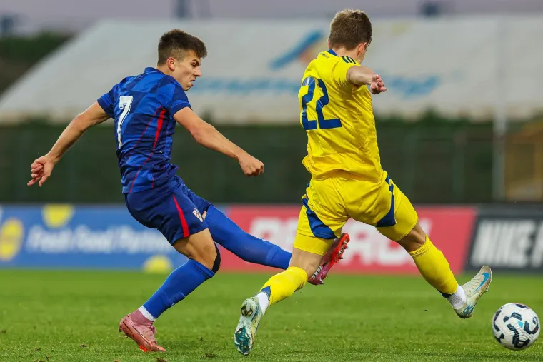 Pazite u čijem društvu Dalić i Mandžukić gledaju mlade Vatrene