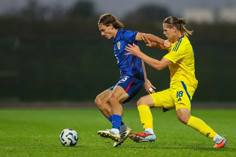 Pazite u čijem društvu Dalić i Mandžukić gledaju mlade Vatrene