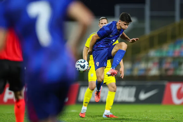 Pazite u čijem društvu Dalić i Mandžukić gledaju mlade Vatrene