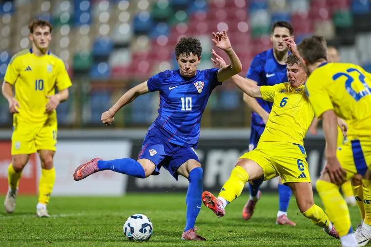 Pazite u čijem društvu Dalić i Mandžukić gledaju mlade Vatrene