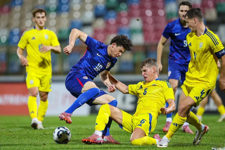 Pazite u čijem društvu Dalić i Mandžukić gledaju mlade Vatrene