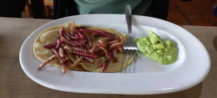 Kada vidite ova jela dići će vam se želudac: Nevjerojatno, ali specijaliteti su diljem svijeta