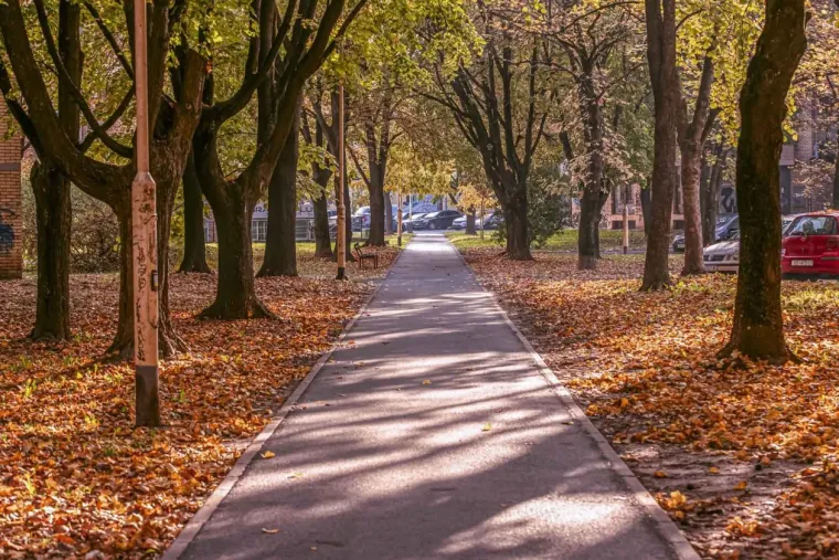 Šarmantna dama u Osijeku oduzima dah: Stilom i stavom očarala prolaznike