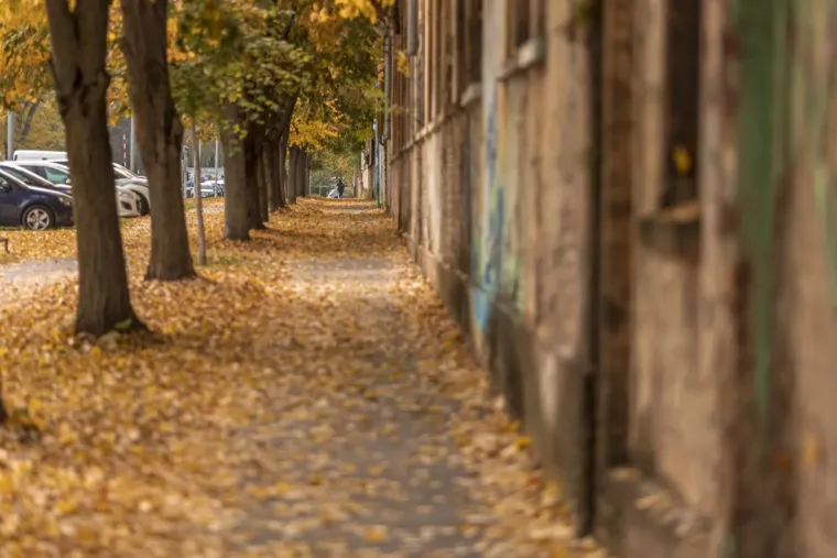 Šarmantna dama u Osijeku oduzima dah: Stilom i stavom očarala prolaznike