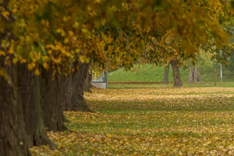 Šarmantna dama u Osijeku oduzima dah: Stilom i stavom očarala prolaznike