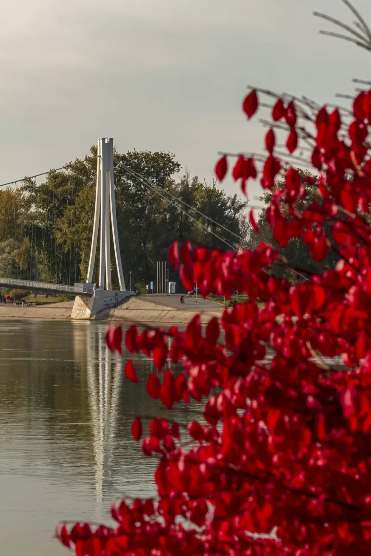&Scaron;armantna dama u Osijeku oduzima dah: Stilom i stavom očarala prolaznike