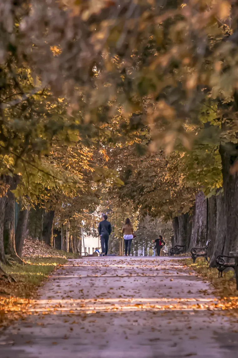 &Scaron;armantna dama u Osijeku oduzima dah: Stilom i stavom očarala prolaznike