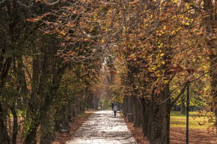 &Scaron;armantna dama u Osijeku oduzima dah: Stilom i stavom očarala prolaznike