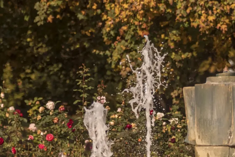 &Scaron;armantna dama u Osijeku oduzima dah: Stilom i stavom očarala prolaznike