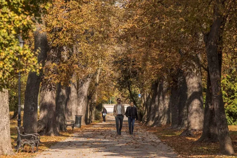 &Scaron;armantna dama u Osijeku oduzima dah: Stilom i stavom očarala prolaznike