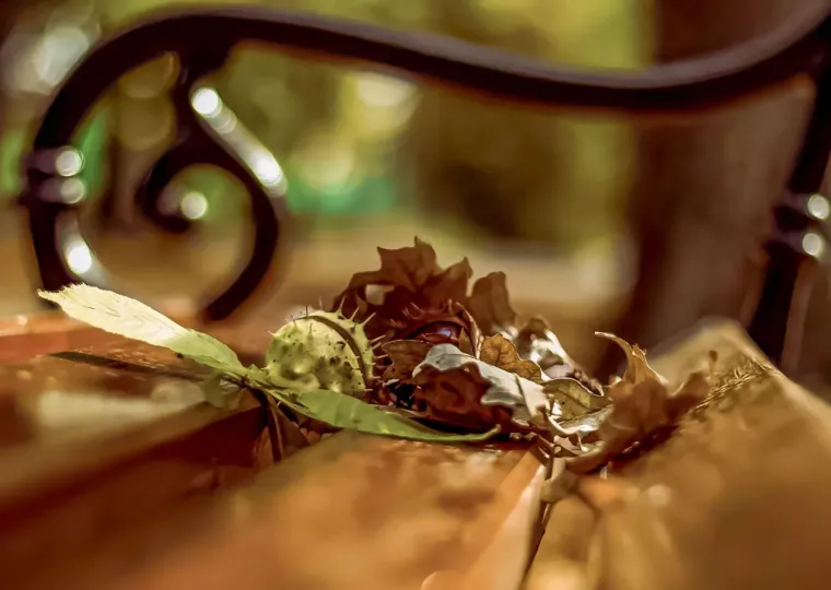 &Scaron;armantna dama u Osijeku oduzima dah: Stilom i stavom očarala prolaznike