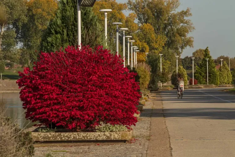 &Scaron;armantna dama u Osijeku oduzima dah: Stilom i stavom očarala prolaznike