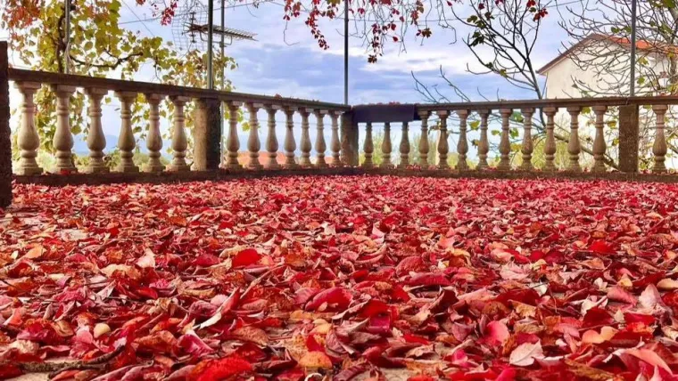 Boje jeseni ukrasile Hrvatsku: Ovo su najljepši prizori koje su snimili čitatelji Net.hr-a