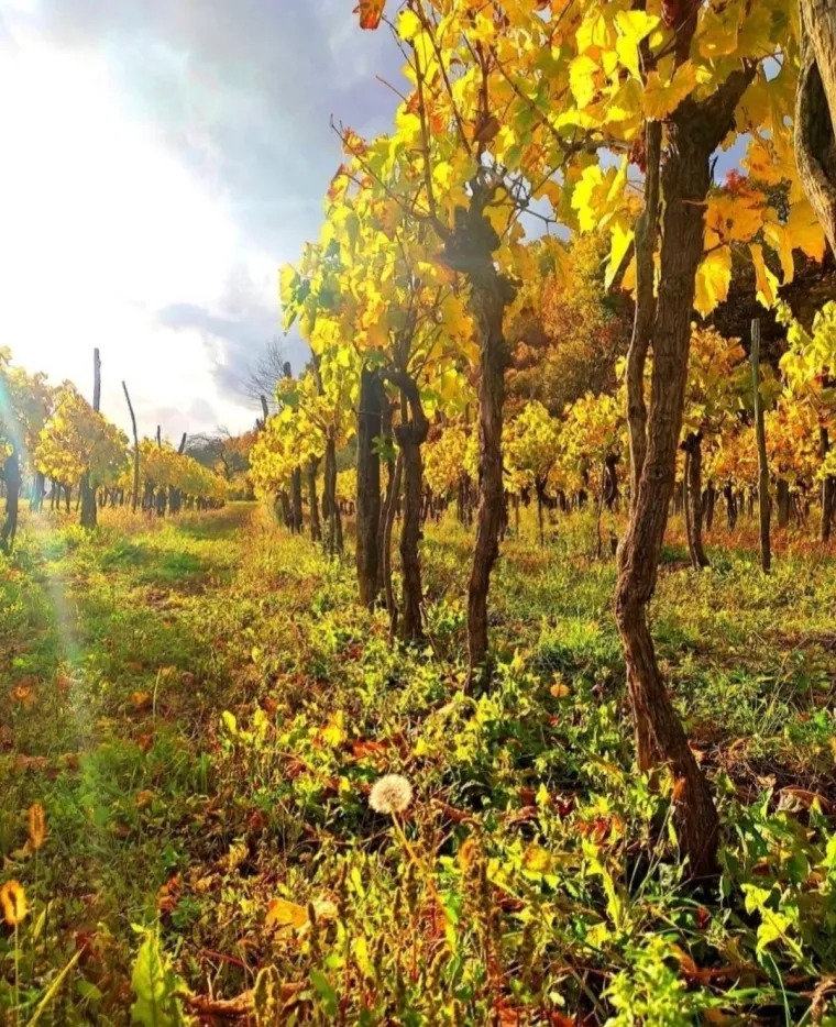 Boje jeseni ukrasile Hrvatsku: Ovo su najljepši prizori koje su snimili čitatelji Net.hr-a