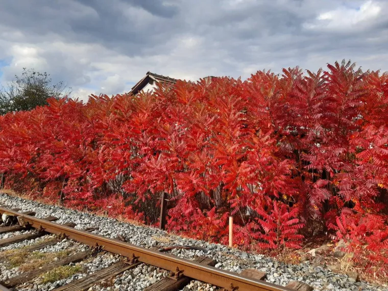 Boje jeseni ukrasile Hrvatsku: Ovo su najljepši prizori koje su snimili čitatelji Net.hr-a