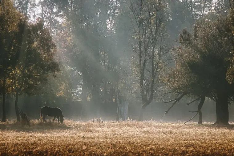 Boje jeseni ukrasile Hrvatsku: Ovo su najljepši prizori koje su snimili čitatelji Net.hr-a
