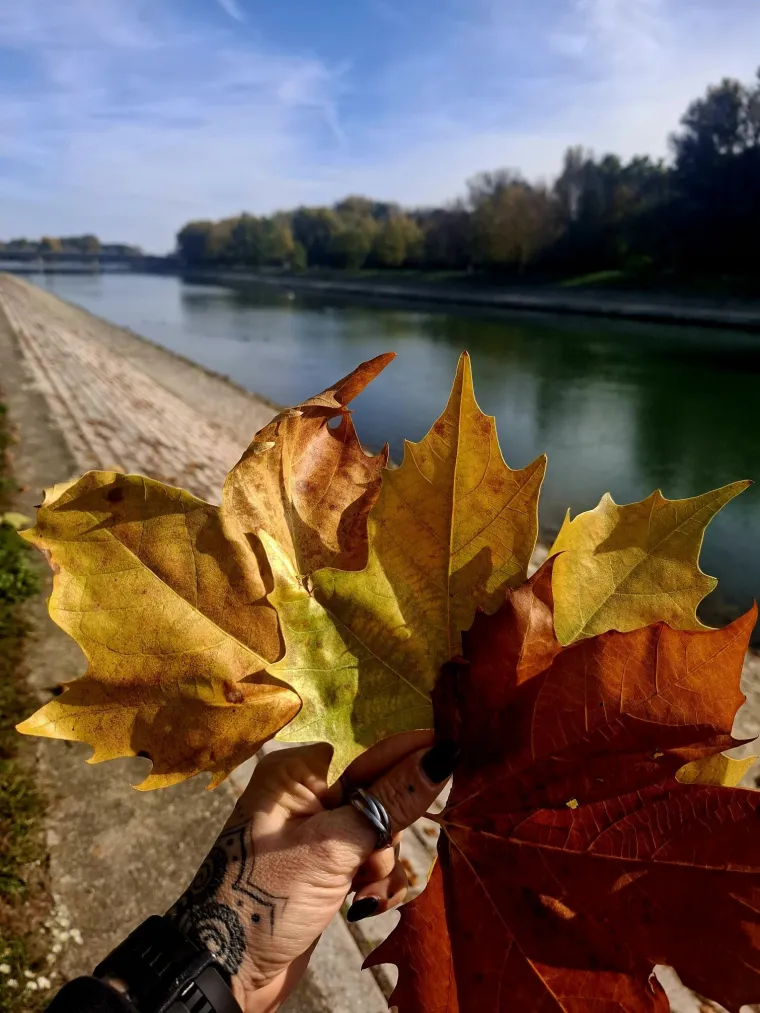Boje jeseni ukrasile Hrvatsku: Ovo su najljep&scaron;i prizori koje su snimili čitatelji Net.hr-a