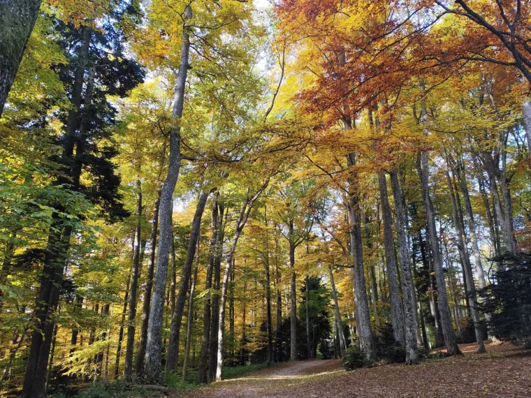 Boje jeseni ukrasile Hrvatsku: Ovo su najljep&scaron;i prizori koje su snimili čitatelji Net.hr-a