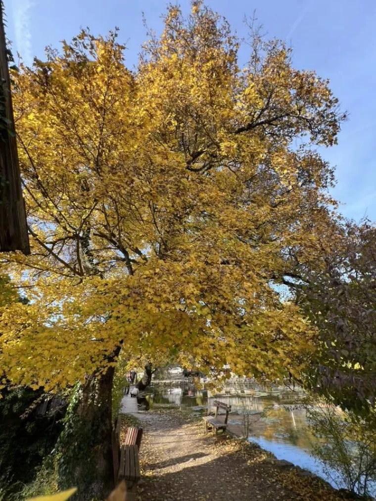 Boje jeseni ukrasile Hrvatsku: Ovo su najljep&scaron;i prizori koje su snimili čitatelji Net.hr-a