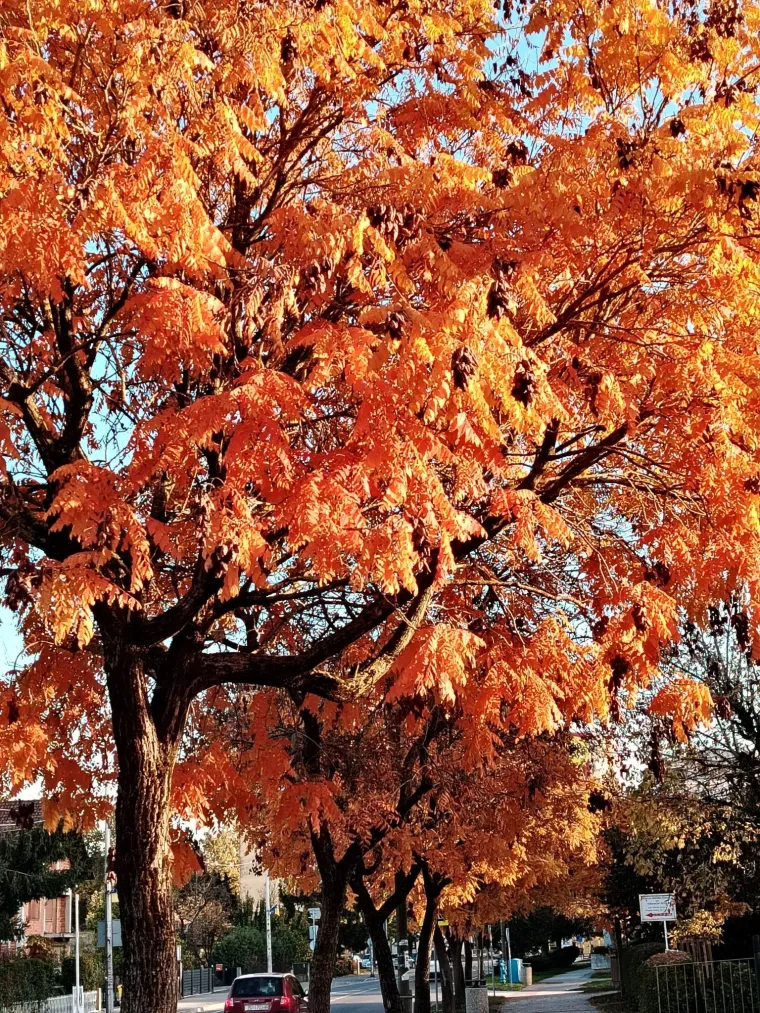 Boje jeseni ukrasile Hrvatsku: Ovo su najljep&scaron;i prizori koje su snimili čitatelji Net.hr-a