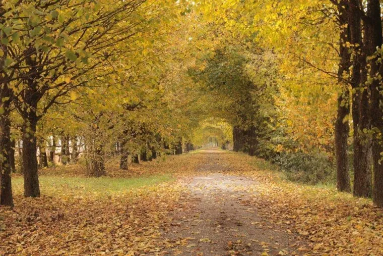 Boje jeseni ukrasile Hrvatsku: Ovo su najljep&scaron;i prizori koje su snimili čitatelji Net.hr-a