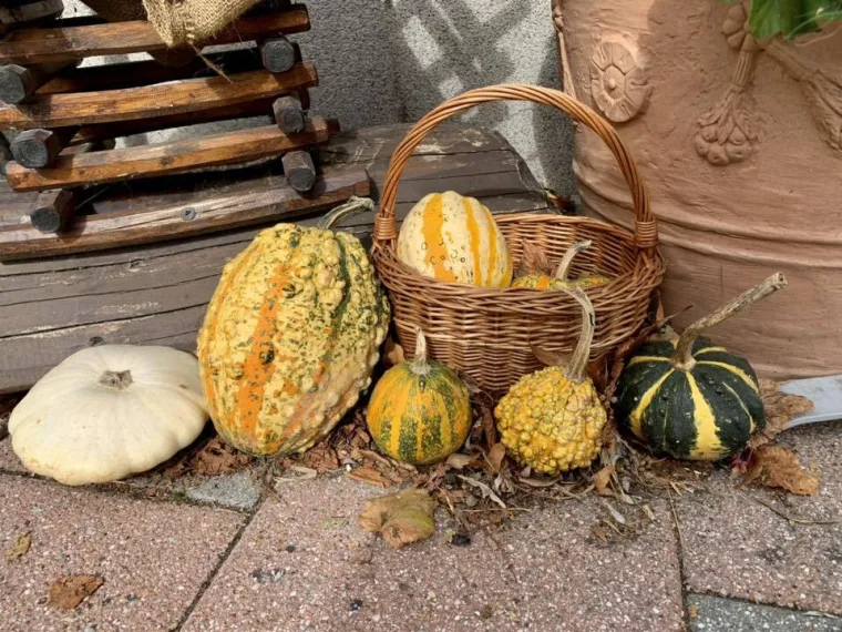 Boje jeseni ukrasile Hrvatsku: Ovo su najljep&scaron;i prizori koje su snimili čitatelji Net.hr-a