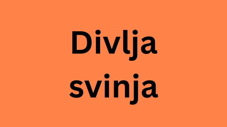 Samo će stručnjaci prepoznati otiske ovih životinja, ali pazite jer pitanja nisu lagana
