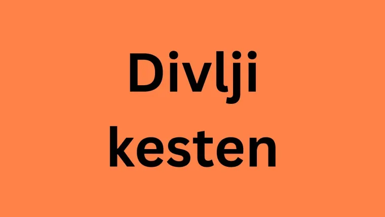 Samo će stručnjaci za biljke prepoznati lišće ovih vrsta drveća: Pazite, pitanja su zahtjevna