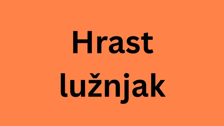 Samo će stručnjaci za biljke prepoznati lišće ovih vrsta drveća: Pazite, pitanja su zahtjevna