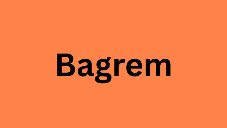 Samo će stručnjaci za biljke prepoznati lišće ovih vrsta drveća: Pazite, pitanja su zahtjevna