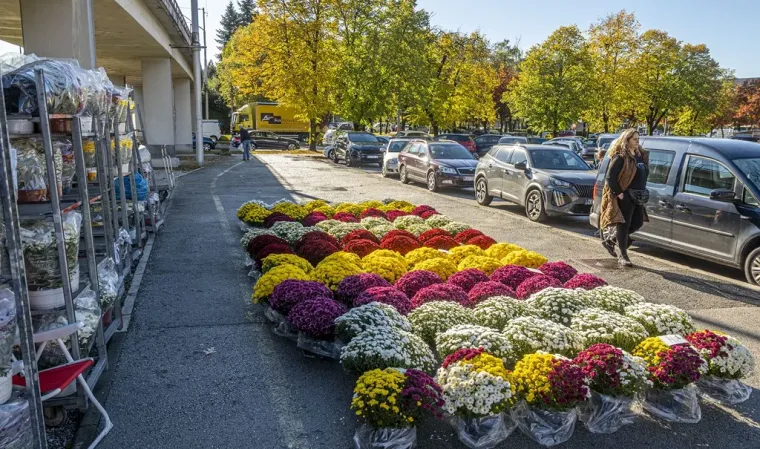 Ovako ne&scaron;to rijetko se viđa u Karlovcu: Plavu&scaron;a i brineta očarale prolaznike u centru grada