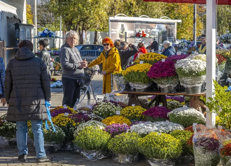 Ovako ne&scaron;to rijetko se viđa u Karlovcu: Plavu&scaron;a i brineta očarale prolaznike u centru grada