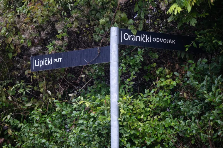 Prizori iz zagrebačkog kvarta lede krv u žilama, forenzičari na mjestu svirepog ubojstva