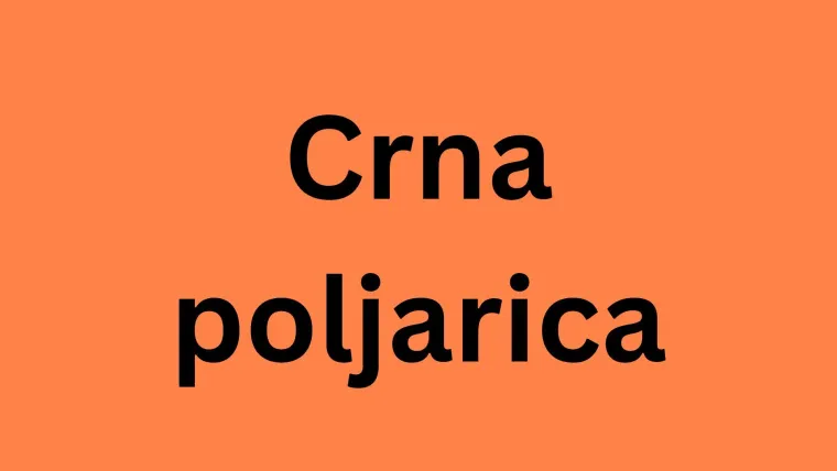 Riješi kviz i doznaj možeš li prepoznati sve zmije koje žive na području Hrvatske