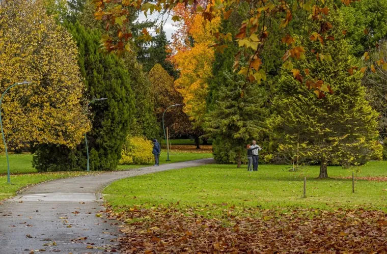 Kovrčava dama je osmijehom oborila prolaznike u Karlovcu: Nitko nije ostao ravnodušan