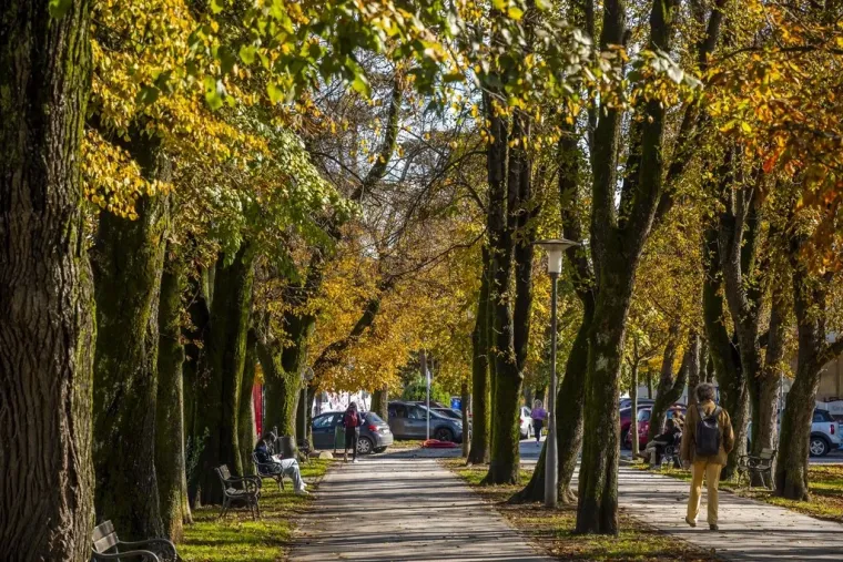 Kovrčava dama je osmijehom oborila prolaznike u Karlovcu: Nitko nije ostao ravnodu&scaron;an