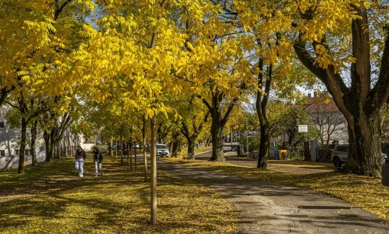 Kovrčava dama je osmijehom oborila prolaznike u Karlovcu: Nitko nije ostao ravnodu&scaron;an