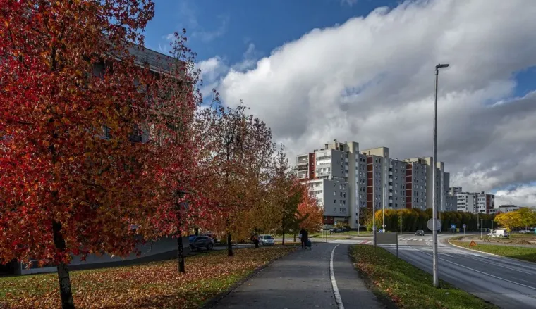 Kovrčava dama je osmijehom oborila prolaznike u Karlovcu: Nitko nije ostao ravnodu&scaron;an