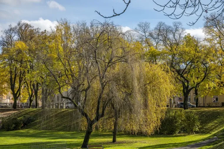 Kovrčava dama je osmijehom oborila prolaznike u Karlovcu: Nitko nije ostao ravnodu&scaron;an