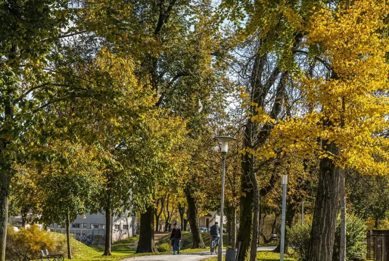 Kovrčava dama je osmijehom oborila prolaznike u Karlovcu: Nitko nije ostao ravnodu&scaron;an