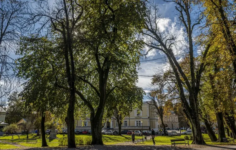 Kovrčava dama je osmijehom oborila prolaznike u Karlovcu: Nitko nije ostao ravnodu&scaron;an
