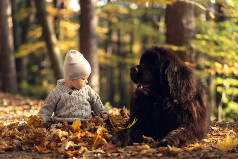 Ovih 14 pasmina pasa odlično se slaže s djecom: Strpljivi su i puni ljubavi