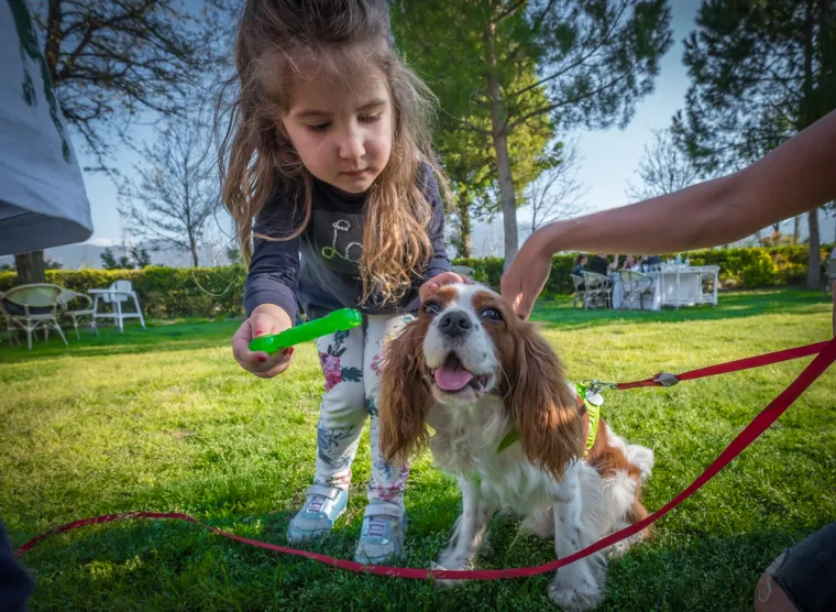 Ovih 14 pasmina pasa odlično se slaže s djecom: Strpljivi su i puni ljubavi