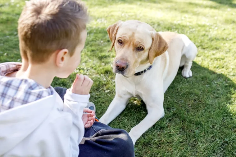 Ovih 14 pasmina pasa odlično se slaže s djecom: Strpljivi su i puni ljubavi